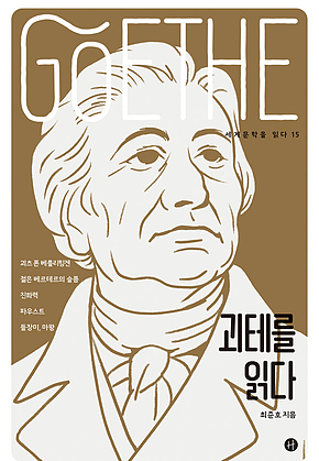괴테를 읽다 표지