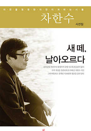 새 떼 날아오르다 표지