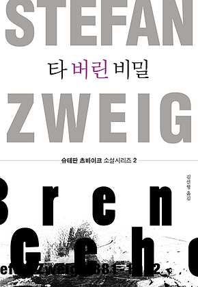 타 버린 비밀 표지