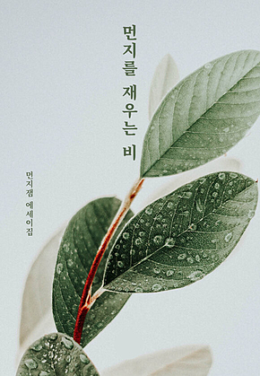먼지를 재우는 비 표지