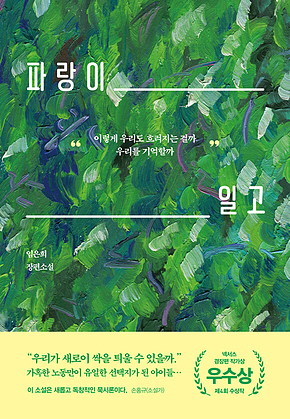파랑이 일고 : 제4회 넥서스 경장편 작가상 우수상 수상작 표지