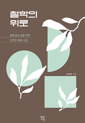 철학의 위로 : 불확실한 삶을 위한 단단한 철학 수업 표지