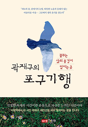 곽재구의 포구기행 : 꿈꾸는 삶의 풍경이 열리는 곳 표지
