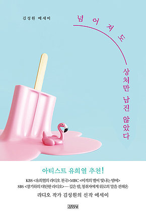 넘어져도 상처만 남진 않았다 표지