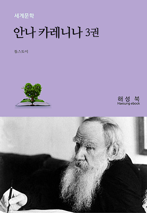 안나 카레니나 3권 표지