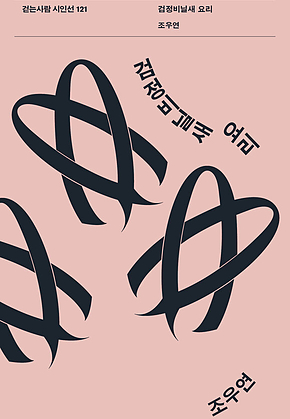 검정비닐새 요리 표지