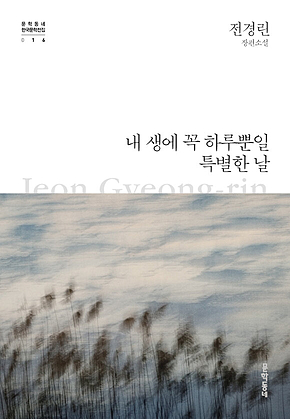 내 생에 꼭 하루뿐일 특별한 날 (한국문학전집 016) 표지