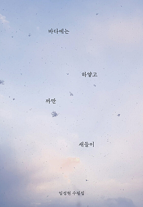 바다에는 하얗고 까만 새들이 표지