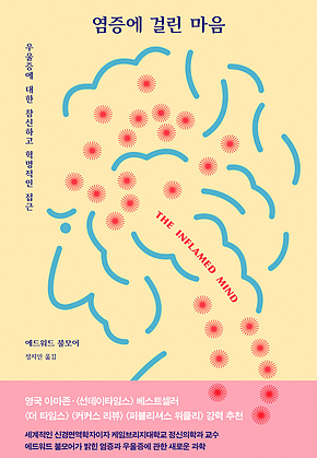 염증에 걸린 마음 : 우울증에 대한 참신하고 혁명적인 접근 표지