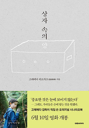 상자 속의 양 표지