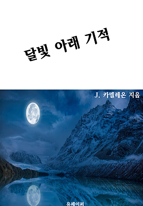 달빛 아래 기적 표지