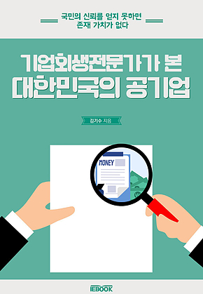 기업회생전문가가 본 대한민국의 공기업 표지