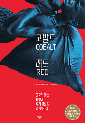코발트 레드 : 콩고의 피는 어떻게 우리 일상을 충전하는가 표지