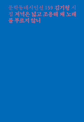 저녁은 넓고 조용해 왜 노래를 부르지 않니 (문학동네시인선 159) 표지