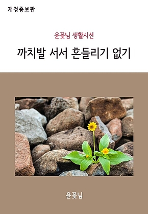 까치발 서서 흔들리기 없기 (개정증보판) 표지