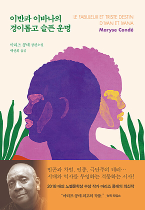 이반과 이바나의 경이롭고 슬픈 운명 표지