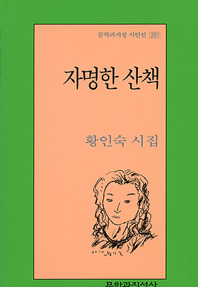자명한 산책 표지
