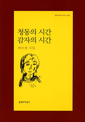 청동의 시간 감자의 시간 표지