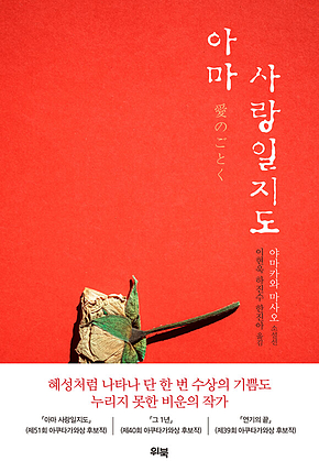 아마 사랑일지도 표지