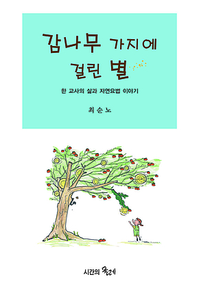 감나무 가지에 걸린 별 표지