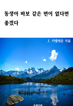 동생아 바보 같은 면이 없다면 좋겠다 표지