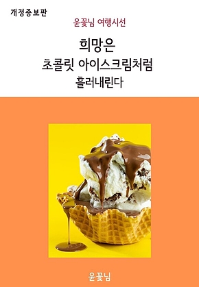 희망은 초콜릿 아이스크림처럼 흘러내린다 (개정증보판) 표지