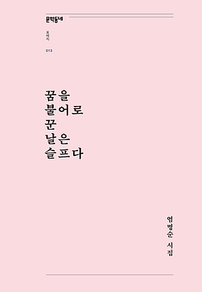 꿈을 불어로 꾼 날은 슬프다 (문학동네포에지013) 표지