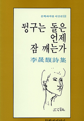 뒹구는 돌은 언제 잠 깨는가 표지