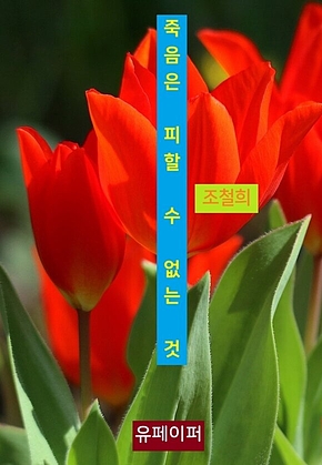 죽음은 피할 수 없는 것 표지
