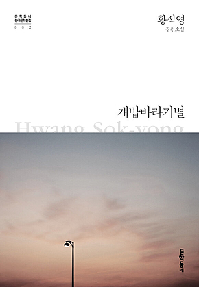 개밥바라기별 : 황석영 장편소설 - 문학동네 한국문학전집 002 표지