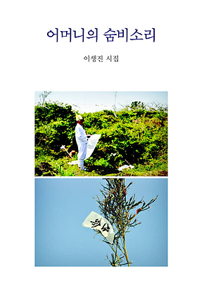 어머니의 숨비소리 표지