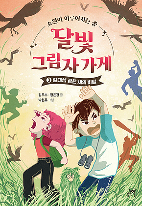 달빛 그림자 가게 3 : 갈대섬 검은 새의 비밀 표지