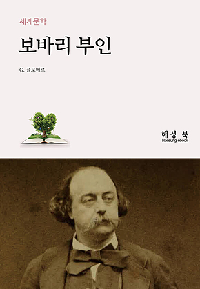 보바리 부인 표지