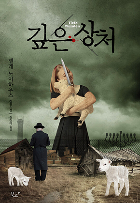 깊은 상처 표지