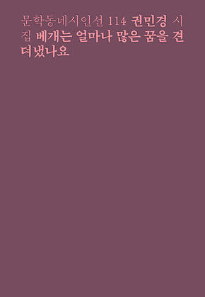 베개는 얼마나 많은 꿈을 견뎌냈나요 : 문학동네시인선 114 표지
