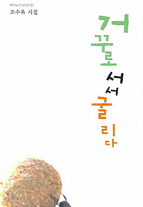 거꾸로 서서 굴리다 표지