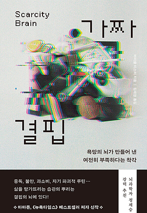 가짜 결핍 : 욕망의 뇌가 만들어 낸 여전히 부족하다는 착각 표지