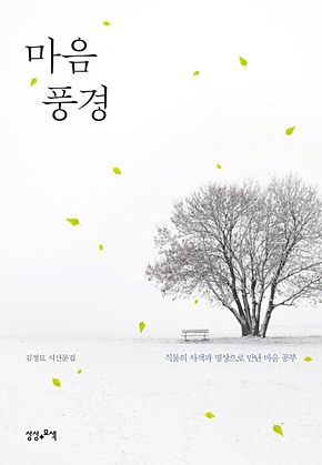 마음 풍경 : 식물의 사색과 명상으로 만난 마음 공부 표지