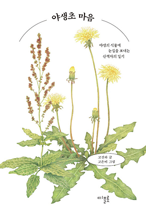 야생초 마음 : 야생의 식물에 눈길을 보내는 산책자의 일기 표지