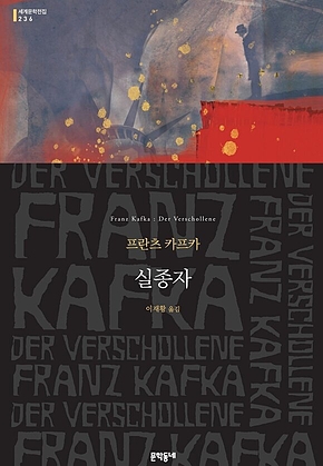 실종자(세계문학전집 236) 표지