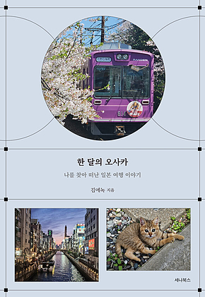 한 달의 오사카 표지