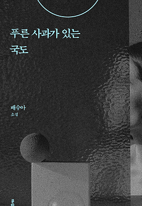 푸른 사과가 있는 국도 : 배수아 소설집 표지