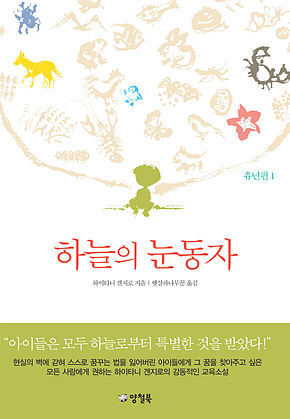 하늘의 눈동자 1 표지