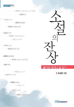 소설의 잔상 : 풀어쓴 현대소설 읽기 표지