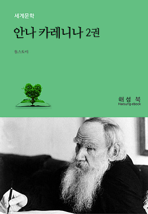 안나 카레니나 2권 표지